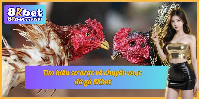 Giới thiệu sơ lược về sảnh đá gà 8Kbet 