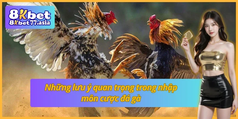 Cược thế gà đá xạ tùy theo cục diện hiện tại